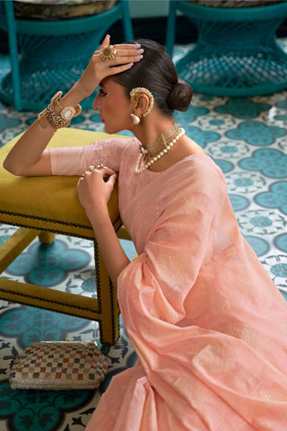 Baby Pink Chikankari Sequins Lucknowi Weaving Saree