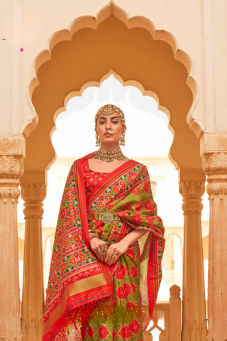 Multi Colour Banarasi Patola Silk Saree
