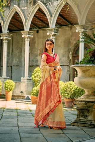 BEIGE TISSUE SILK SAREE