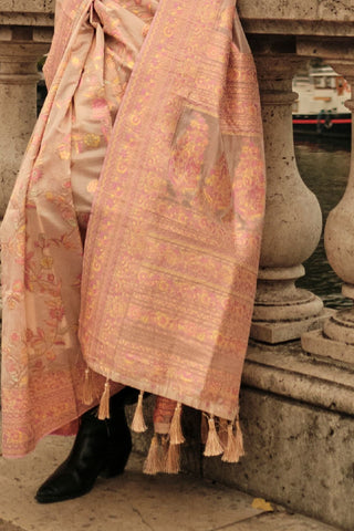 Beige Kashmiri Organza Handloom Weaving Saree