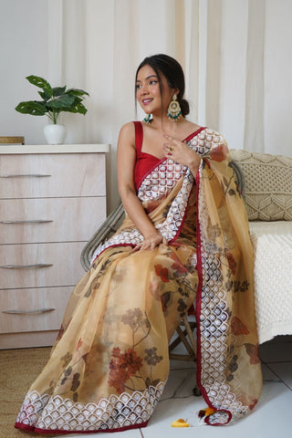 BROWN ORGANZA EMBROIDERED SAREE