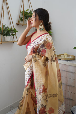 BROWN ORGANZA EMBROIDERED SAREE