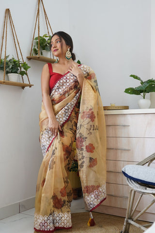 BROWN ORGANZA EMBROIDERED SAREE