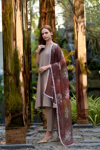 Brown Vatican Organza With Embroidery Kurta Set_Kumari Sarees