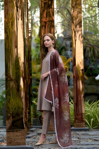 Brown Vatican Organza With Embroidery Kurta Set_Kumari Sarees