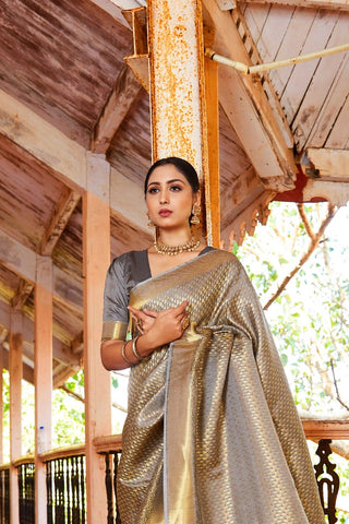 GREY KANJEEVARAM HANDLOOM SILK SAREE 