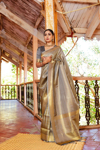 GREY KANJEEVARAM HANDLOOM SILK SAREE 