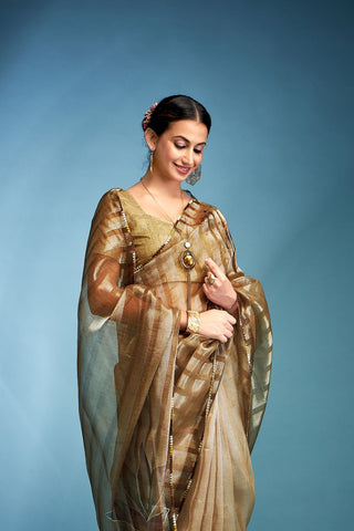 Light Brown Tissue Silk Saree_Kumari Sarees