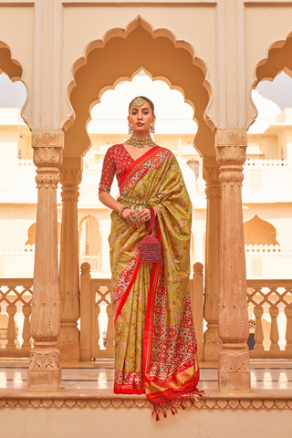 MULTI COLOUR BANARASI PATOLA SILK SAREE