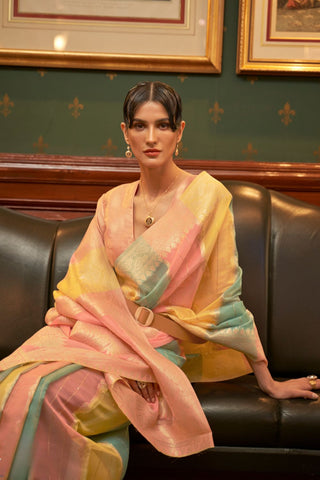 MULTI COLOUR ORGANAZA SEQUINS - VALUE ADDED SAREE