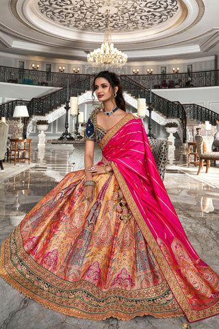 Multi Colour Banarasi Silk Lehenga with Zarkan Codding Work