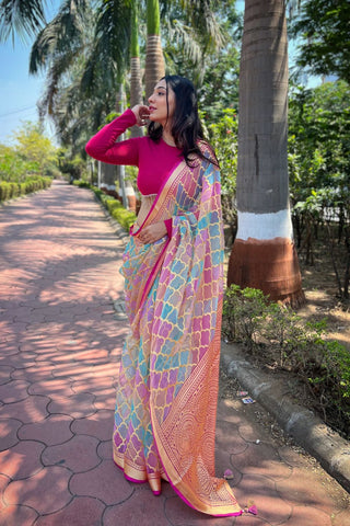 MULTICOLOR ORGANZA SILK SAREE