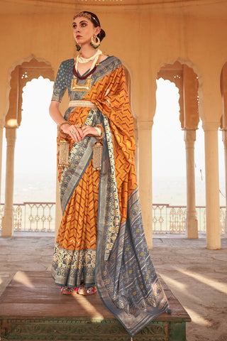 Multi Colour Banarasi Patola Silk Saree