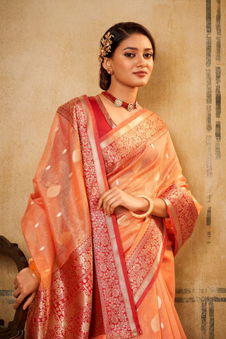 Orange Banarasi Tissue Saree