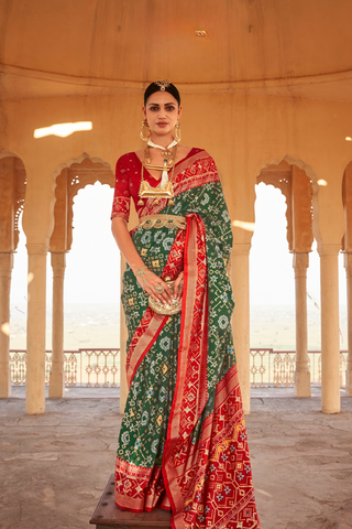 Multi Colour Banarasi Patola Silk Saree