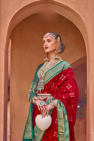 Multi Colour Banarasi Patola Silk Saree